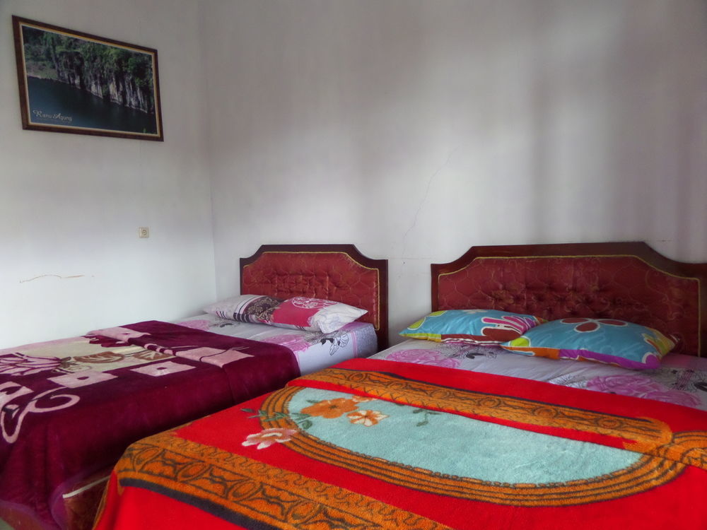 Hotel Nadia Bromo Eksteriør bilde
